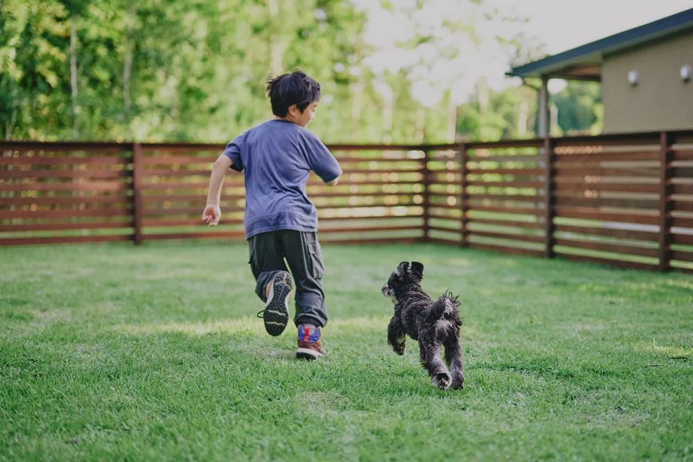 愛犬とのご滞在の様子