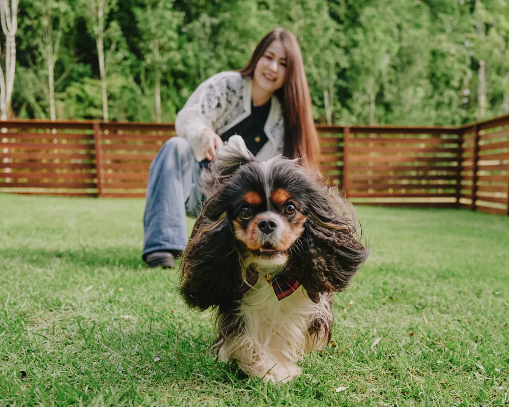 愛犬とのご滞在の様子