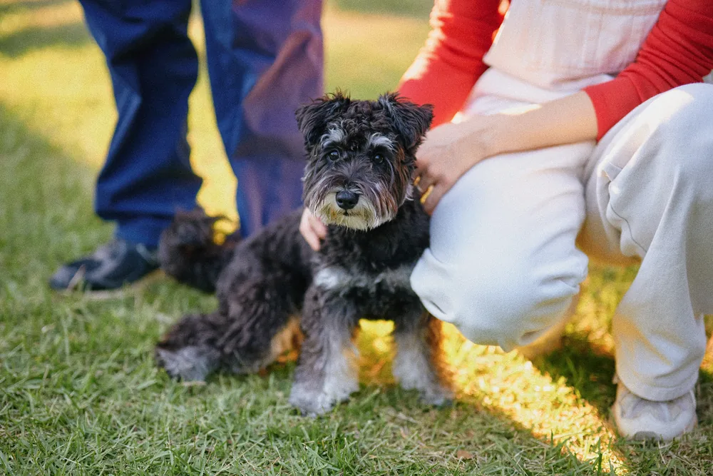 愛犬とのご滞在の様子