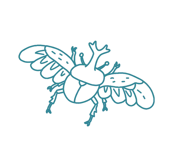 カブトムシイラスト